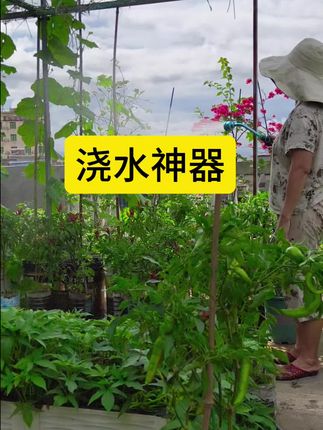 浇水神器,出水细腻不伤植物,大品牌值得拥有#浇水神器 #种植小技巧#种菜#我家楼顶小菜园