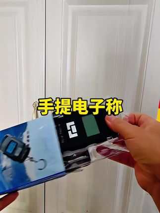 手提秤子称可称100斤便携式精准家用称重百斤迷你秤克重小型秤 #手提电子秤