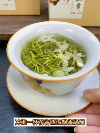 这样品质的茉莉花茶你喝过吗?2025年新茶正宗茉莉花茶,泡一杯清香四溢! #茉莉飘雪 #花茶 #茶饮 #茶 #茉莉花茶