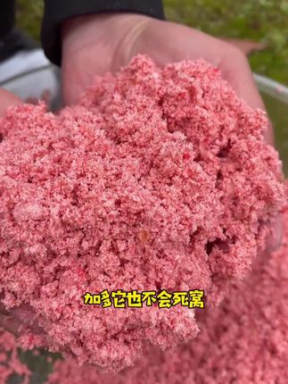 老鬼超浓缩鲢鳙饵料添加剂,专为钓鲢鳙设计,黑坑湖库通用,开饵时加一点效果超乎想象!#鱼饵推荐 #饵料搭配 #黑坑盘老板 #浮钓鲢鳙