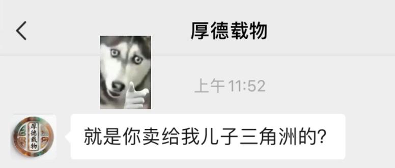 相亲相爱一家人#三角洲 #三角洲行动 #墨攻网游 #三角洲账号