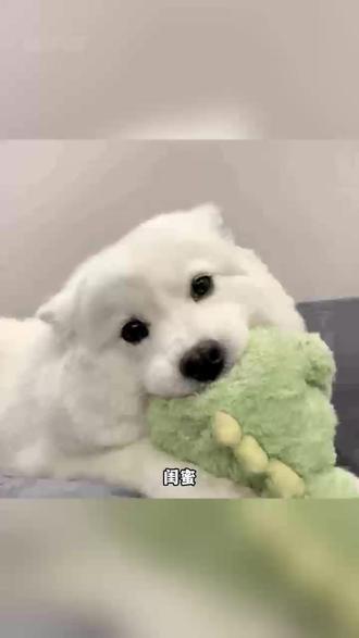 求AI小火人调节教程#AI小火人聊天 #精灵AI对话