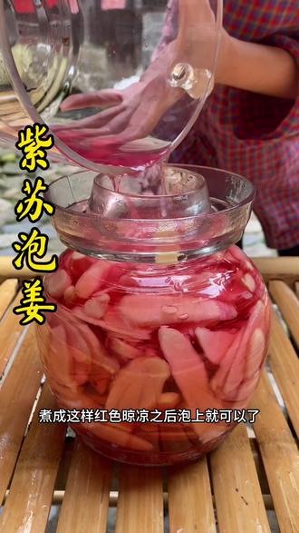 紫苏泡姜 在农村有一种被遗忘的美食,紫苏泡姜你没见过了吧?它可以直接吃,也可以拿来煮鱼超级美味!你也可以试试喔!