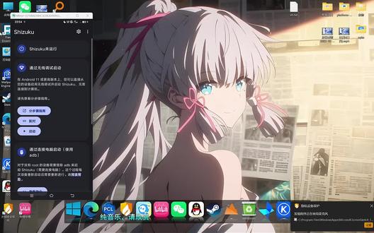 如何借助shizuku激活黑域 #技术分享