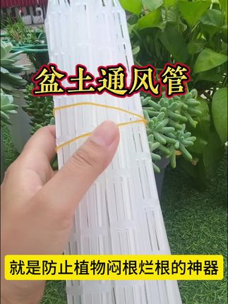 这就是防止植物闷根烂根的神器#盆土通风管 #花卉绿植 #花盆通风管 #养花小知识 #养护小知识