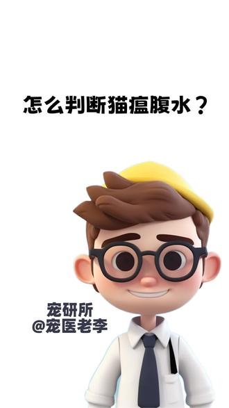 怎么判断猫瘟腹水? #猫瘟 #猫鼻支 #猫知识