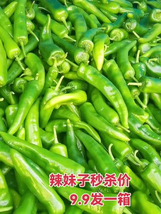 #辣妹子 #辣椒