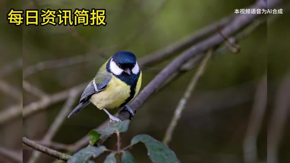 3月30日 星期一 每日资讯简报 #热点 #新闻 #资讯简报
每日资讯简报
国内新闻
1. 3月28日,河北秦皇岛阿那亚黄金海岸出现带状海市蜃楼,持续至少一小时。
2. 3月29日,海南昌江成立联合调查组,调查史玉辉被羁押821天无罪后赔偿遭中止一事。
3. 河南51岁大叔苏小锋8年考20本证书,从工地小工逆袭,月薪达7500元包吃住。
4. 3月24日,南通九识智能无人配送车误逆行致拥堵,企业已设电子围栏整改。
国际新闻
1. 乌克兰战事资金仅够维持至6月,泽连斯基访中东三国,签订十亿级十年防务合作协议。
2. 3月27日夜至28日凌晨,以军出动约50架战机空袭伊朗德黑兰多处军事设施,伊朗随后向以发射导弹。
3. 当地时间3月28日,委内瑞拉官宣恢复启用驻美国外交机构,以加强双边关系、服务侨民。
科技新闻
1. 我国首台商用12兆伏串列加速器在江西瑞昌下线,核心技术实现自主化,拥有完全自主知识产权。
辟谣专区
1. 3月26日,宁波一女子接传单后晕倒,警方辟谣非迷药所致,系贫血症状引发。