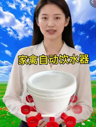 #饮水器#家禽自动饮水器#家禽饮水小红碗