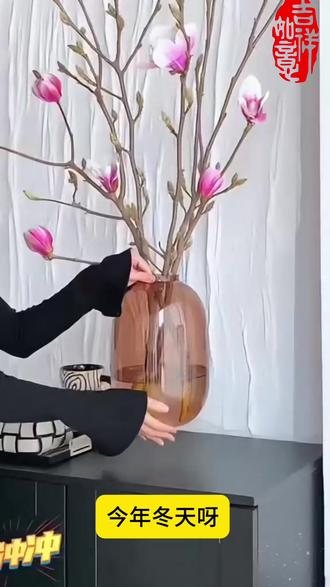 玉兰花开,富贵自来#养花小知识 #养花人 #水培植物 #玉兰花