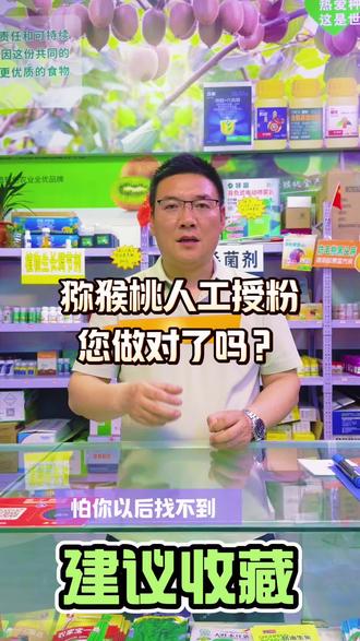 猕猴桃人工授粉,您做对了吗?#景浩农业 #武鲜生 #猕猴桃人工授粉 #猕猴桃种植