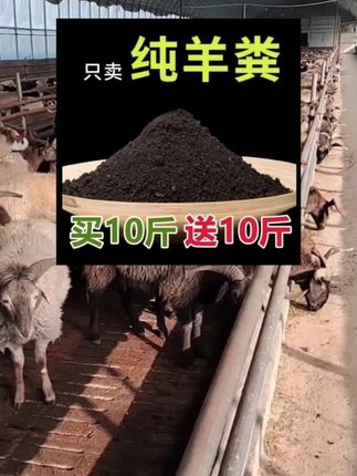 # 发酵纯羊粪 # 抖音助农 # 农村..# 羊粪... #抖音助农#羊粪
