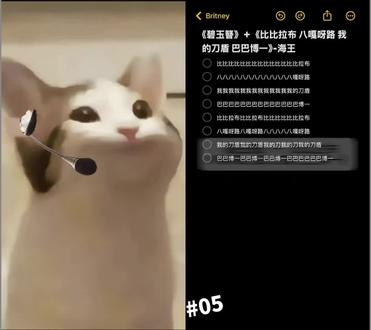 和 @凌九 一起 #合拍 #御姐音教程 #比比拉布 #我的刀盾 #翻唱 真是要笑了,,