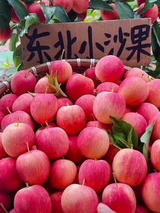 顺丰包邮东北K9沙果海棠果特产开久花红小苹果鸡心新鲜孕妇酸水果