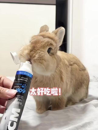 【BCM品牌专场】BCM十种果蔬化毛膏#养猫新手 #萌宠动物 #萌宠 #幼猫 #宠物萌宠