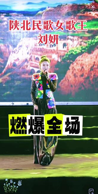 #为甚不回家 陕北民歌的女王歌手刘妍老师来洋县周大黑元旦晚会演出,燃爆全场!