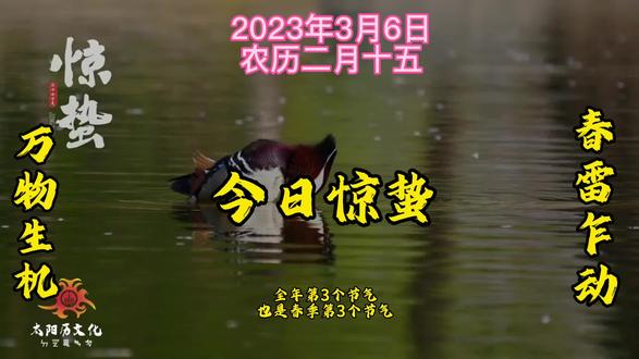 今天是2023年农历二月十五,是惊蜇节气,又名启蜇,是仲春时节的开始,到了惊蛰节,锄头不停歇。是全年气温回升最快的节气,气温波动较大。是二十四节气中的第3个节气,也是春季第3个节气❗#二十四节气 #惊蛰节气