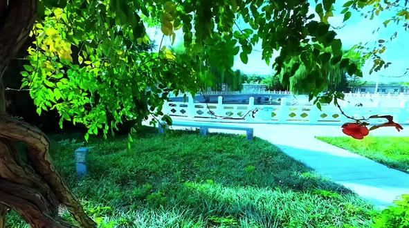 #邢台二中 二中做了个双休梦