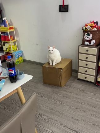 12提挂抽薅羊毛 2080抽一提太划算了