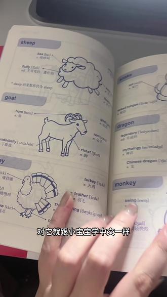 为了学英语,终于找到了适合 0 基础的单词书,真的又日常又好记生活化#学习打卡 #记单词小技巧 #创作人计划 #每日推荐