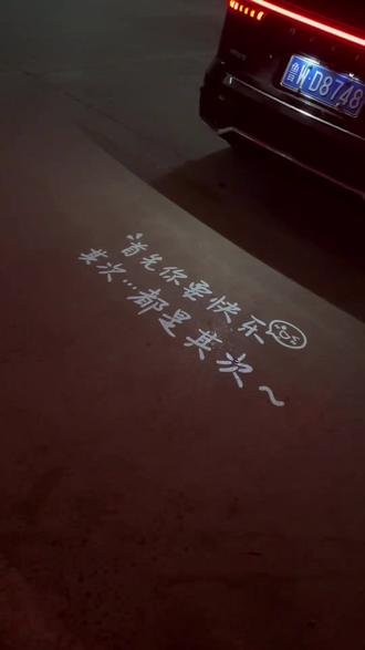 兄弟们,看看我自己装的这个牌照灯效果怎么样?原车这个牌照灯太暗了,晚上基本上看不清。#吉利牌照投影灯 #汽车好物 #牌照投影灯 #吉利汽车#车品