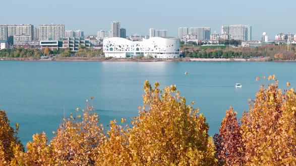 打卡宣城宛陵湖秋冬“三件套” 把“广德三件套”送给浙E、把“宛陵湖三件套”留给自己#宣城文旅#安徽文旅