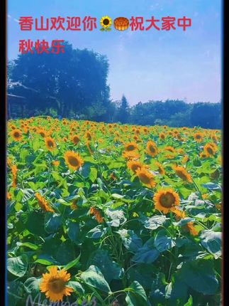 #祝大家双节快乐幸福安康 !