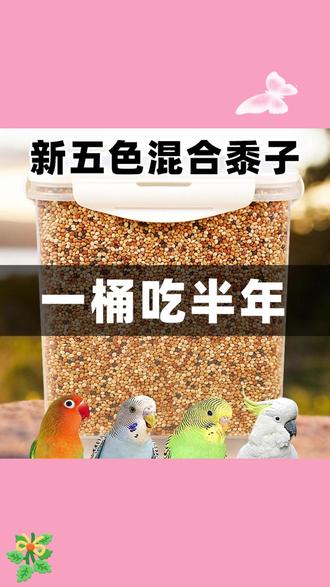 鹦鹉爱吃!虎皮牡丹专属营养饲料来了! 这款饲料让爱宠吃得更满足! #鹦鹉 #萌宠好物 #鸟食 #玄凤鹦鹉