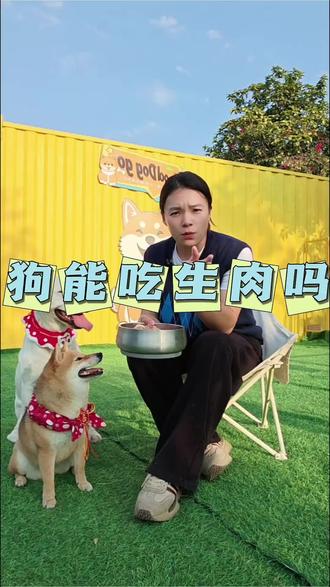 狗狗吃生肉有什么好处?#训犬 #寄养 #萌宠出道计划 @抖音小助手 @DOU+上热门