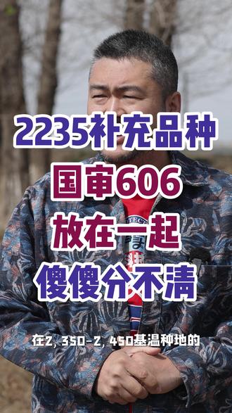 2235补充品种国审606放在一起傻傻分不清 #热点 #天顾511 #春耕