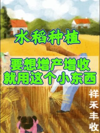 #抖音助农 #水稻 #水稻种植 #农业种植#种植小技巧