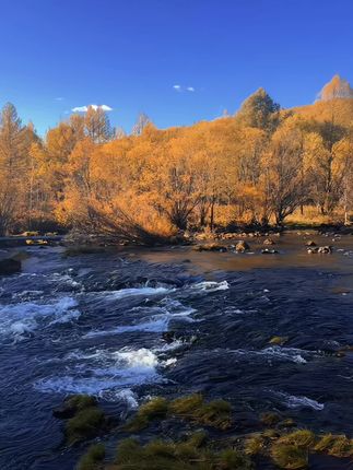 现实中的阿尔山远比课本里的要精彩! #大兴安岭 #我的阿尔山