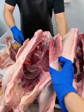 #快来一起尝个鲜 #太香啦 #大口吃肉的感觉真好 #美食 #大白鹅