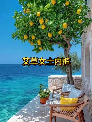 #女士内裤 #面料柔软舒适 #贴身衣物 #好物推荐🔥 #女士短裤