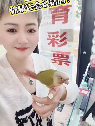 手心里的小可爱,萌化了整个下午时光。🦜✨ #鹦鹉 #宠物小精灵@@花花老板