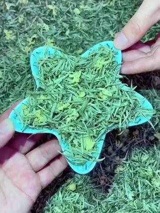 茉莉花茶 新茶叶 正宗茉莉飘雪白毫银针王嫩芽贵州浓香型花茶#茉莉花茶#口感不错#茉莉银针#茉莉针王#花茶