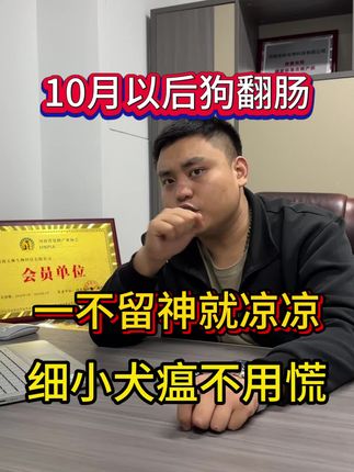 10月以后狗翻肠,一不留神就凉凉,细小犬瘟不用慌!#狗细小 #养狗经验分享 #养狗人 #狗狗 #宠物狗
