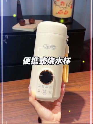 德国电热水杯出差旅行便携式烧水杯家用恒温壶插电保温杯电热水壶
