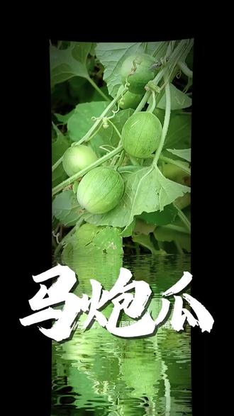吃过它的举个手#谁知道这是什么 #植物科普