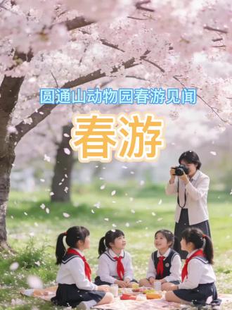 口述日记,记录有意义的一天#春游 #口述日记 #Ai #三月