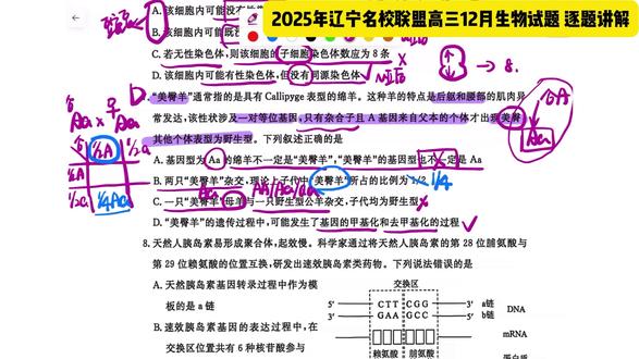 2025辽宁名校联盟高三12月 #辽宁高考#辽宁名校联盟高三联考#2025辽宁名校联盟高三#高考生物#高考