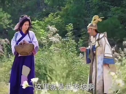 忆昔当年泪不干!#武家坡#追剧 #追剧 #音乐#古装电视剧 #看剧 #武家坡dj