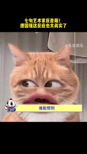 从鬼畜区到时装区,唐老师用实力演绎:你大爷永远是你大爷 #navigare多彩祥T #navigare唐国强 #意大利小帆船父爱如海