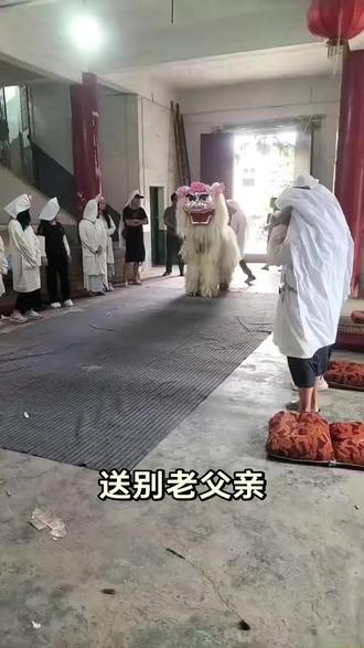 #白狮吊孝 白狮引路,悲送至亲,此去仙途无风雨,音容宛在,思念长存#现场演出实录 #送别老父亲 #醒狮文化传承舞狮文化