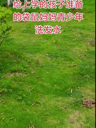 姐妹们!开学啦!给孩子准备的洗发水沐浴露,袋鼠妈妈母婴大品牌用着放心#去屑控油洗发水 #控油祛痘沐浴露#贼拉好用 #学生党好物推荐#开学季好物;洗完的头发清爽蓬松