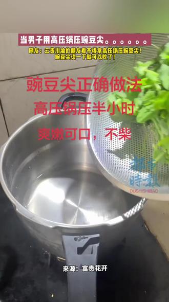 当男子用高压锅压豌豆尖。。。。。。网友:云贵川渝的朋友看不得拿高压锅压豌豆尖!豌豆尖烫一下就可以吃了! #豌豆尖