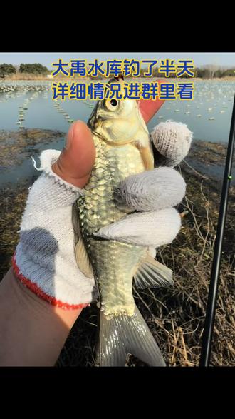 #上热门🔥 准确位置和收费情况在群里,进群里看就知道了。