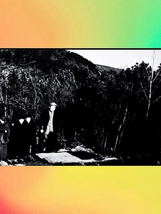 #毛主席游击战方针,是怎样来的。