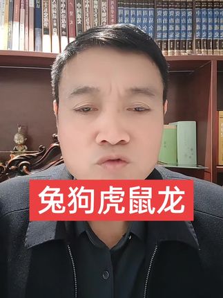 兔狗虎鼠龙的家人们#传统文化#生肖
