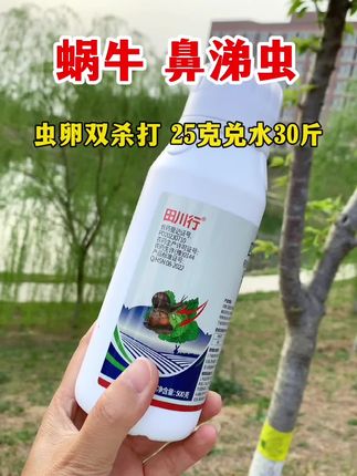 蜗牛鼻涕虫就用这个专用配方 #蜗牛#鼻涕虫#四聚乙醛
